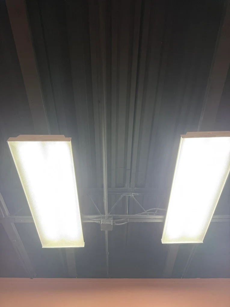 Illuminated ceiling fixtures beneath an exposed commercial ceiling on a Guardian project