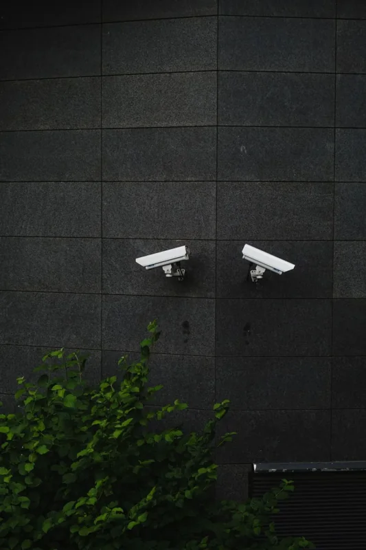 Two white bullet-style security cameras mounted on a dark exterior wall.